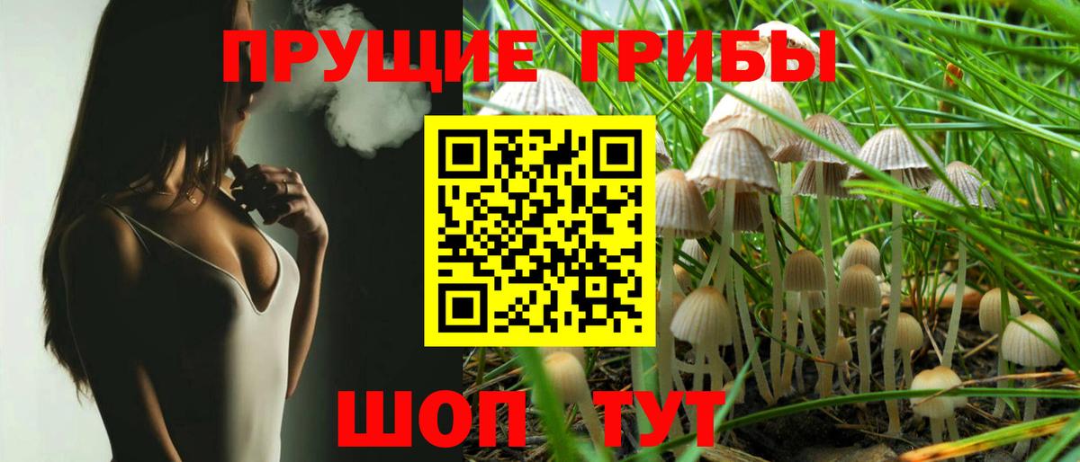 Псилоцибиновые грибы Cubensis Волхов