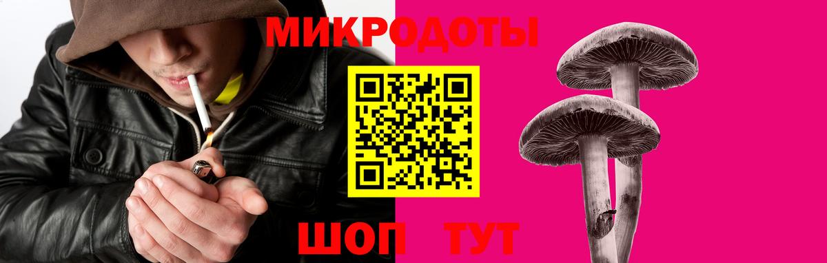 Волхов  Галлюциногенные грибы мухоморы  Вход с VPN 